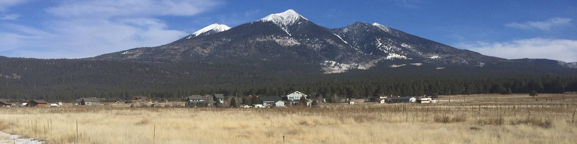 Too crowded to go up mountain