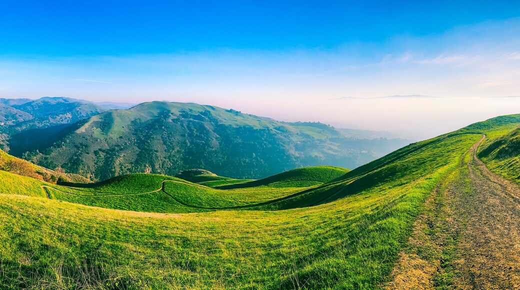 Panoramic view of picturesque green hills, meadows and hiking trails in sunlight. Mountain landscape of California, Alum Rock Park, USA.