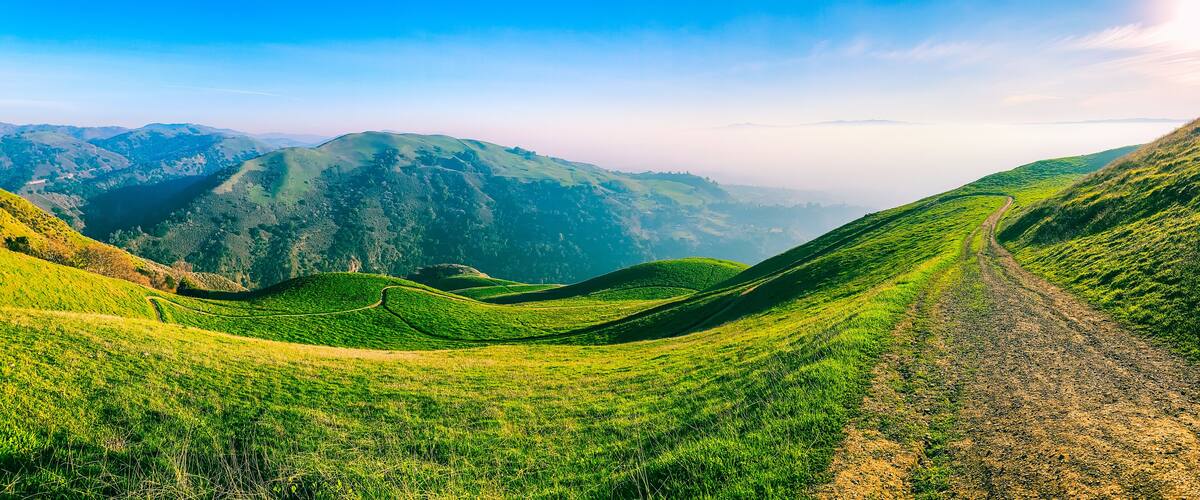 Panoramic view of picturesque green hills, meadows and hiking trails in sunlight. Mountain landscape of California, Alum Rock Park, USA.
