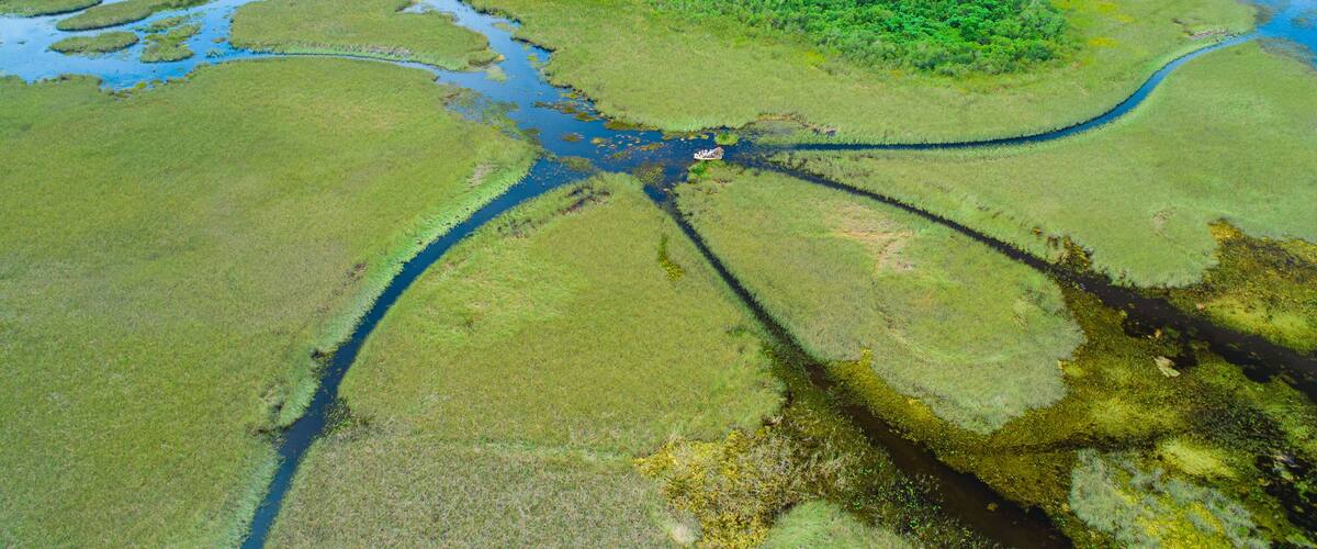 Airboat tour in Everglades National Park. Miami. Florida. USA.