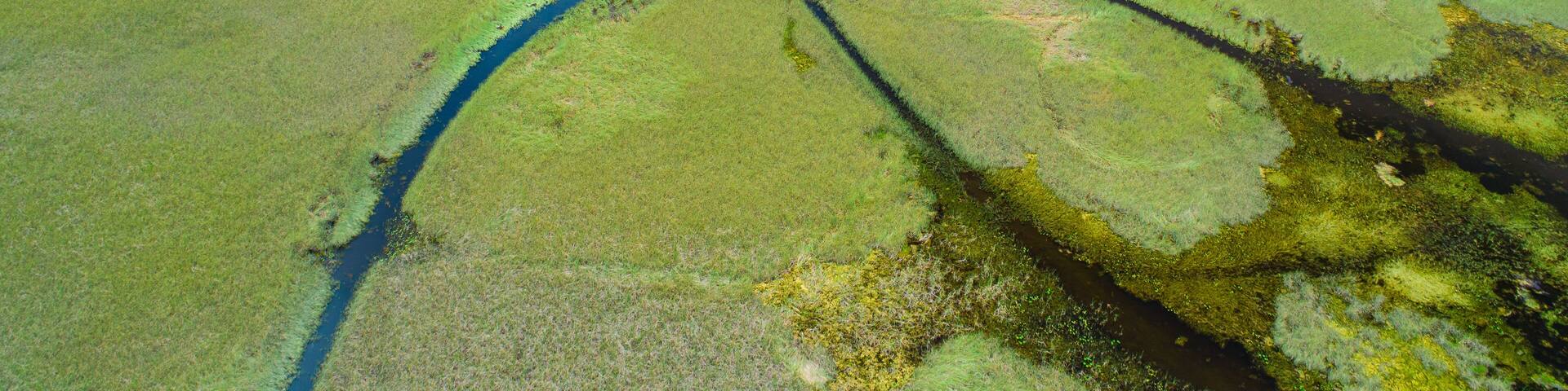 Airboat tour in Everglades National Park. Miami. Florida. USA.