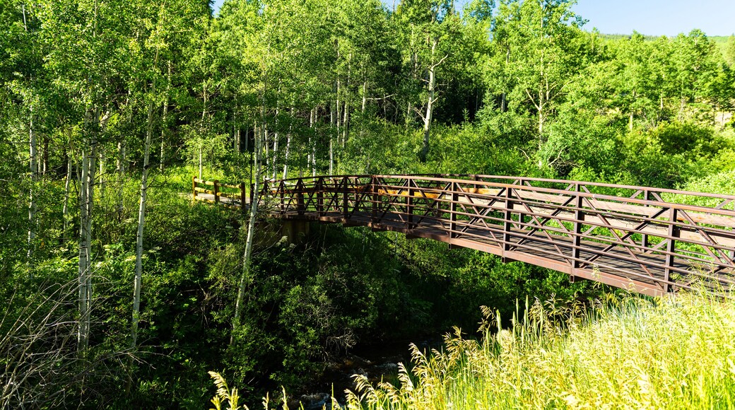 Poble de Brush Creek