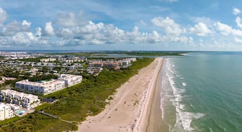 Cape Caneveral Beach Gardens