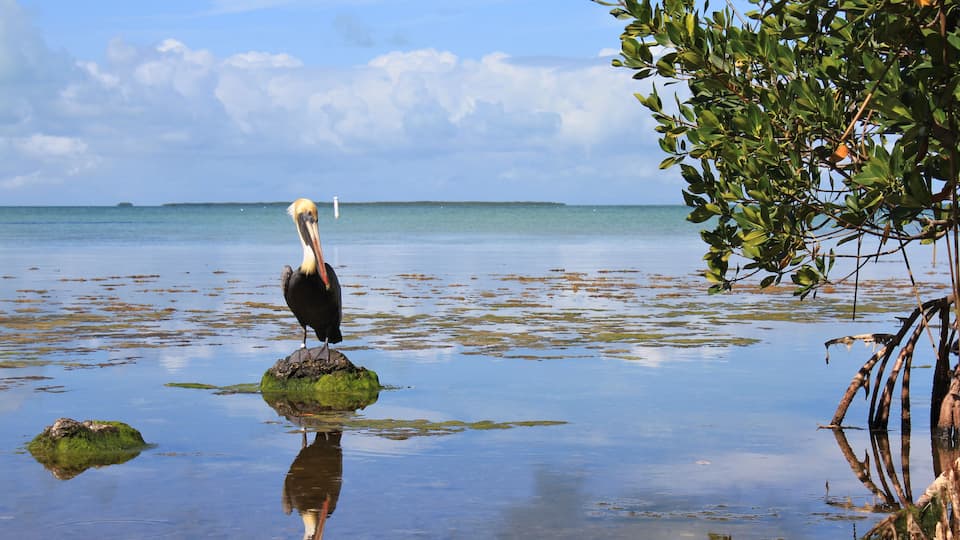 Everglades National Park