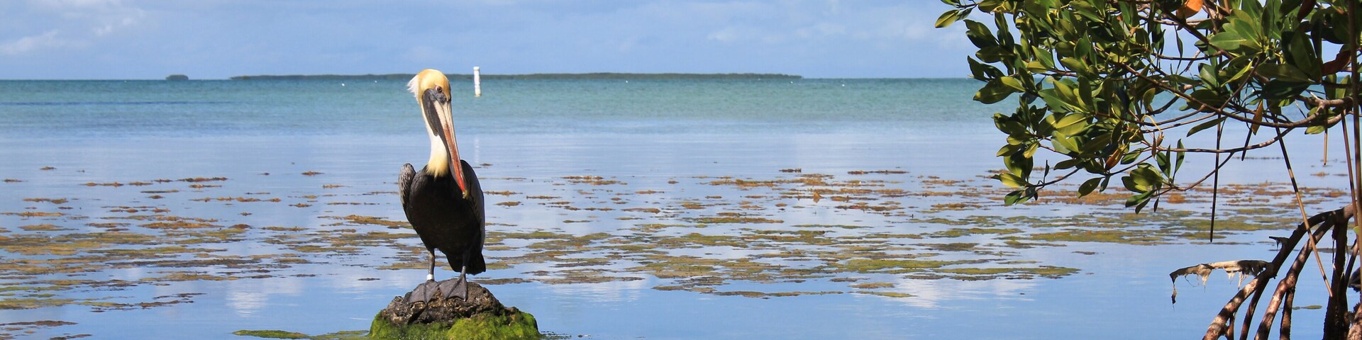 Everglades National Park