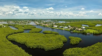 Aerial view of rural private houses in remote suburbs located near Florida wildlife wetlands with green vegetation on sea bay shore. Living close to nature concept