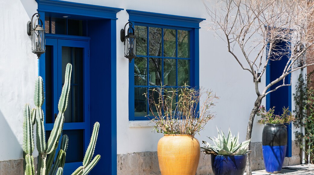 Historic downtown Tucson adobe house with Blue Doors and Windows. Large planters in yellow and blue line the front walkway. A tall cactus is prominent in the foreground. Pima County, Arizona, USA.