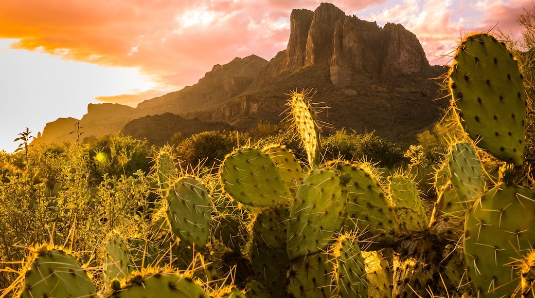 Gold Canyon Serenade