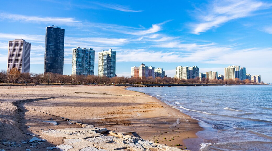 Foster Beach in Chicago with Lake Michigan and the Edgewater Skyline