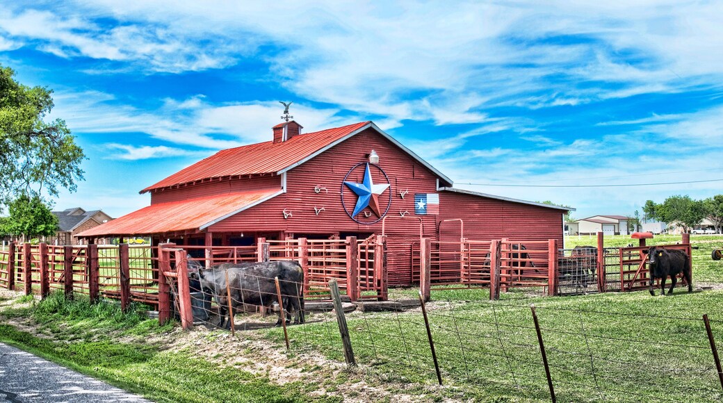 Old Red Barn with cattle..