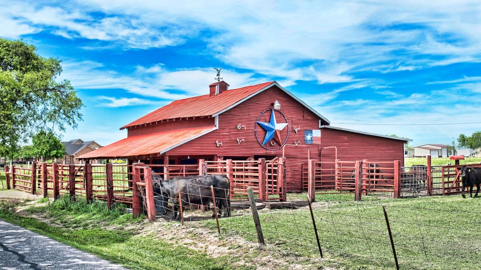 Old Red Barn with cattle..