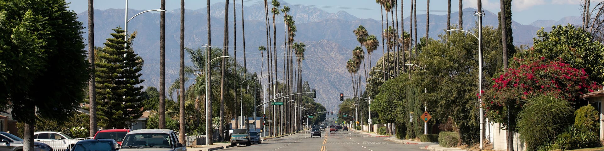 Palm trees frame a residential street in West Covina, California, USA.