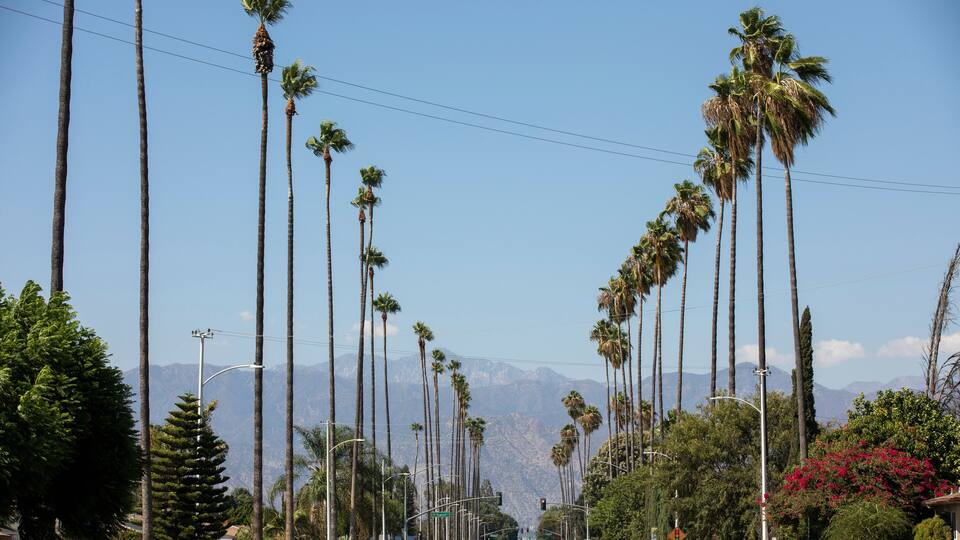 Palm trees frame a residential street in West Covina, California, USA.