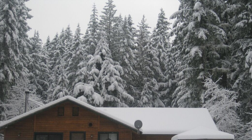 Charming cabin just outside of Mt. Rainier National Park, with three bedrooms (one well-suited for kids), a stocked kitchen, a big yard with a fire pit and creek beyond, and a hot tub in the backyard. Super adorable place, and incedibly fun to watch the snow fall this particular weekend.