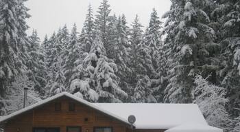 Charming cabin just outside of Mt. Rainier National Park, with three bedrooms