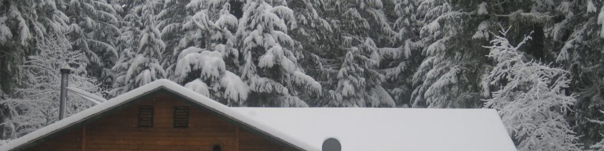 Charming cabin just outside of Mt. Rainier National Park, with three bedrooms (one well-suited for kids), a stocked kitchen, a big yard with a fire pit and creek beyond, and a hot tub in the backyard. Super adorable place, and incedibly fun to watch the snow fall this particular weekend.