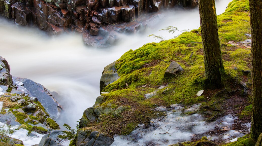 Moss and flowing water of the dells of the eau claire in Aniwa, Wisconsin