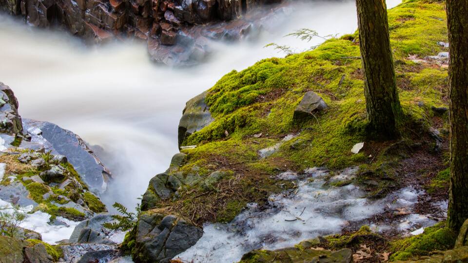 Moss and flowing water of the dells of the eau claire in Aniwa, Wisconsin
