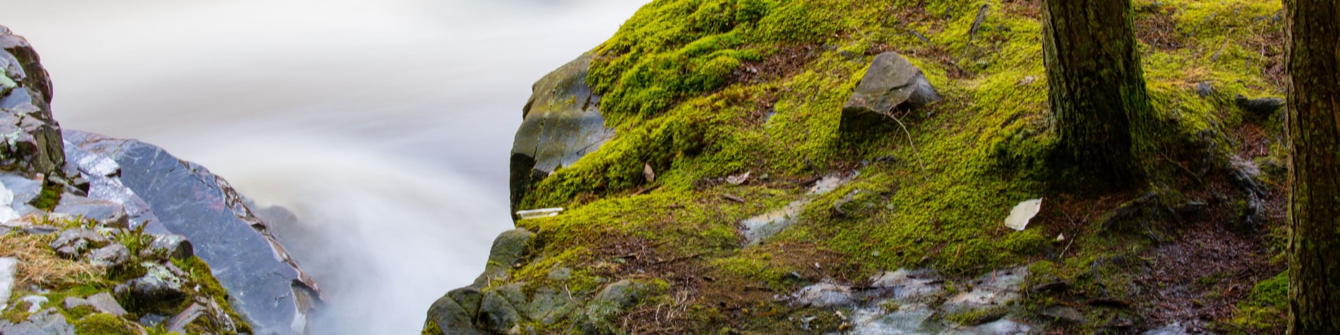 Moss and flowing water of the dells of the eau claire in Aniwa, Wisconsin