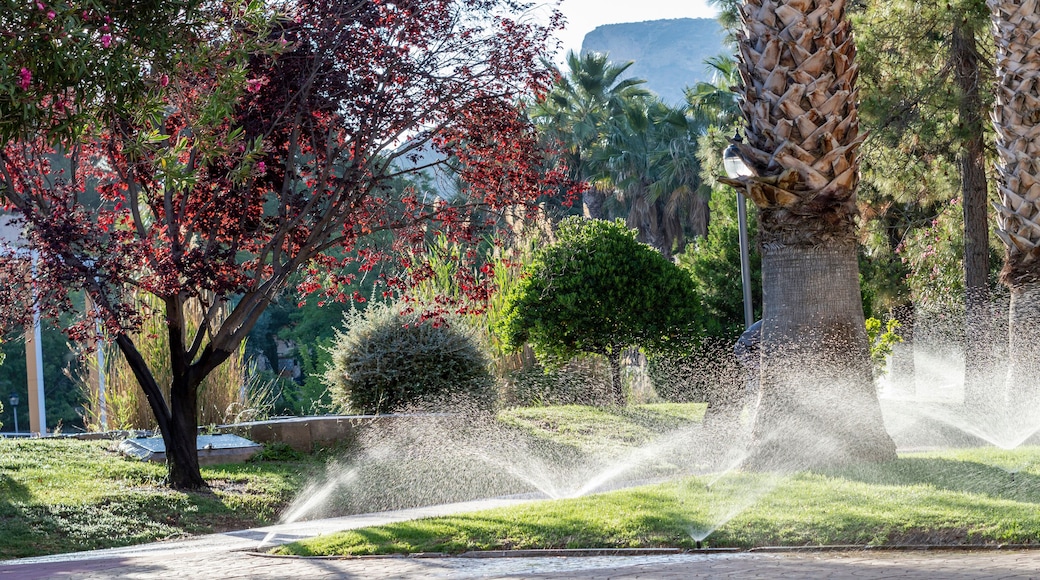 ์ ๋ผ์ด์ฆ ํํฌ