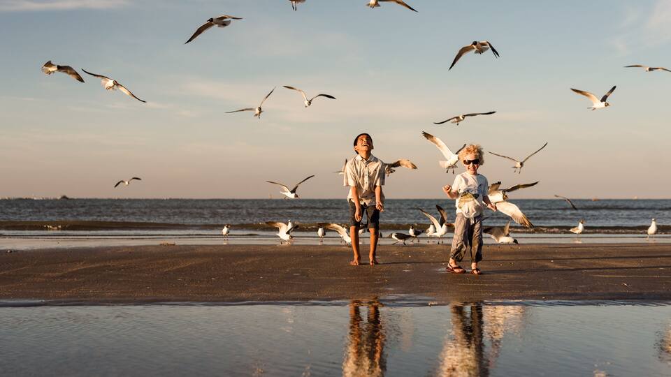 Two siblings playing with birds on Galveston Island