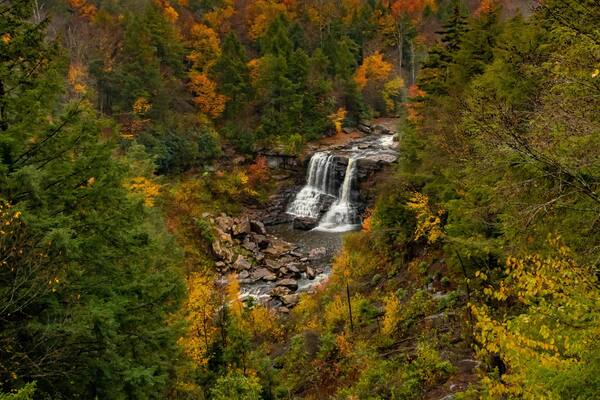 Aerial view of Blackwater Falls with the autumn forest around in State Park in West Virginia