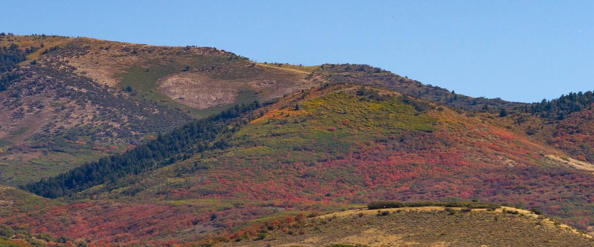 Fall color in mountains