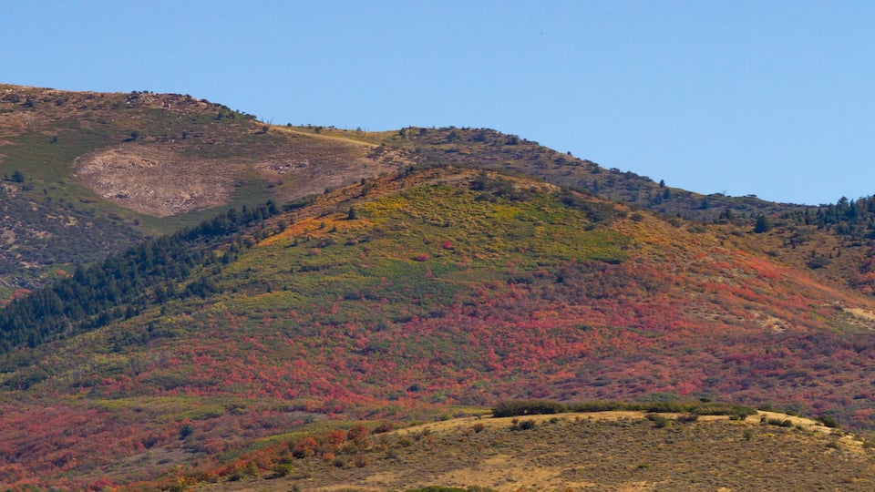 Fall color in mountains