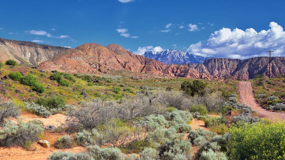 Views of Red Mountain Wilderness and Snow Canyon State Park from the Millcreek Trail and Washington Hollow by St George, Utah in Spring bloom in desert. United States.