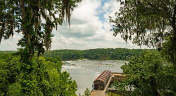 Savannah river rapids in Augusta