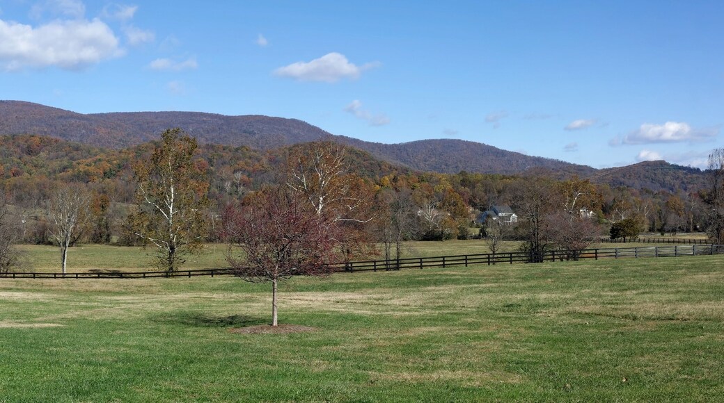 Virginia valley floor with autumn Blue Ridge Mountains in background under blue sky.