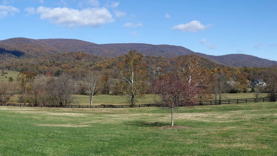 A grassy field with a wooden fence, trees, and mountains in the background.