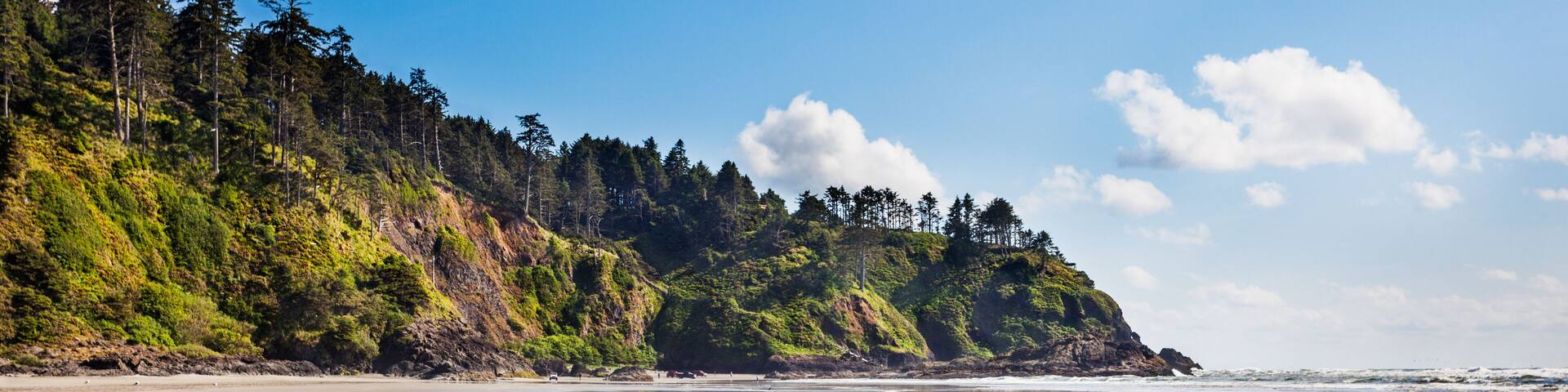 The Cape Disappointment end of Long Beach, Washington with the cliffs reflected in wet sand