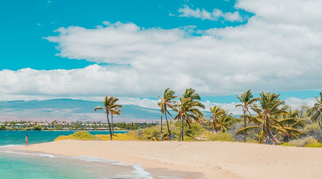 Hawaii beach panoramic travel banner of woman tourist walking on secluded shore in Waikoloa, Big Island, USA.