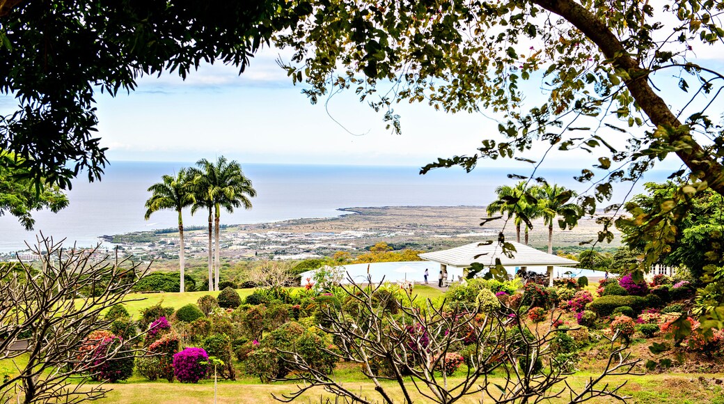 ์ฝ๋ ํ๋ผ๋ค์ด์ค