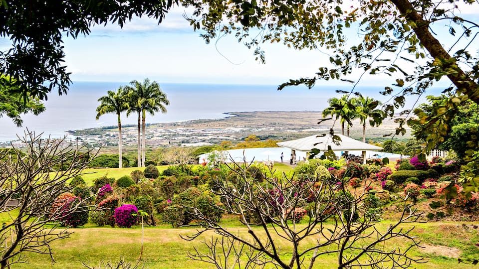 nice and sweet view Shoreline in Kona