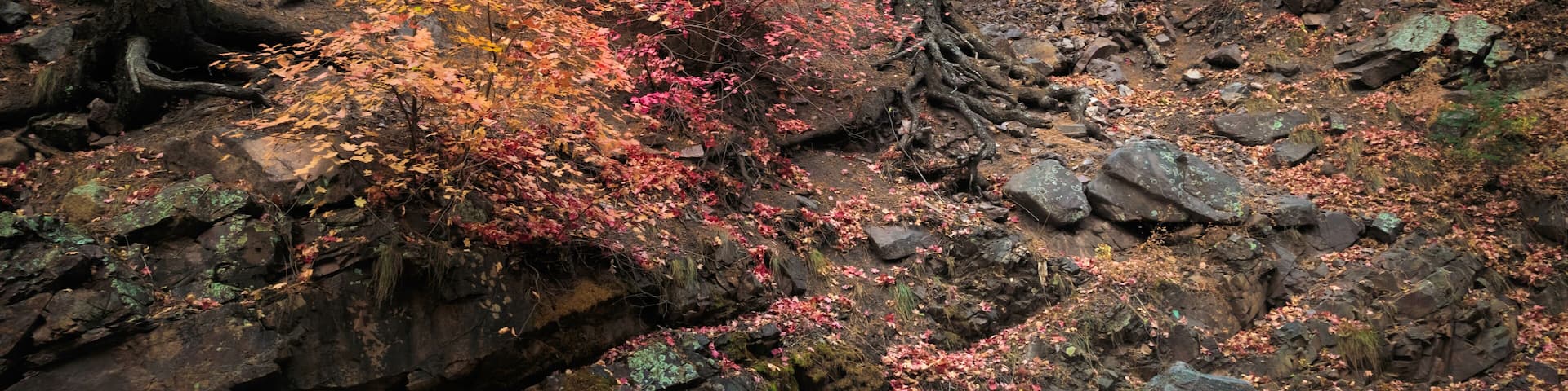 Scenic Fall color Landscape, Christopher Creek, Payson, Arizona