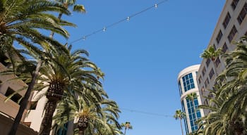 เซาท์เวสต์ อนาไฮม์