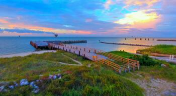 フォート モーガン パインズ