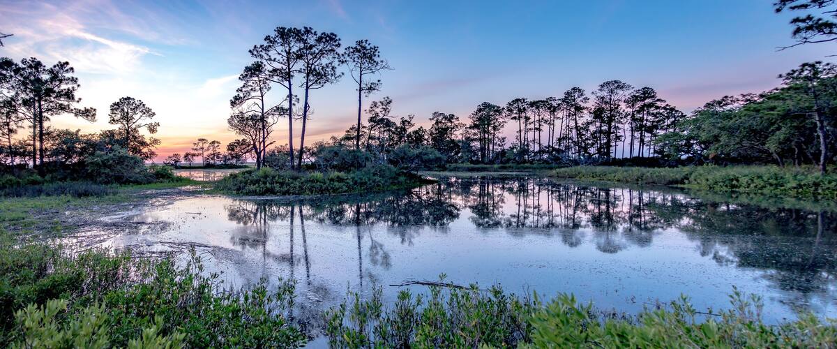 nature landscape scenes around hunting island state park in south carolina