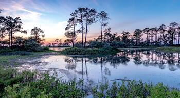 nature landscape scenes around hunting island state park in south carolina
