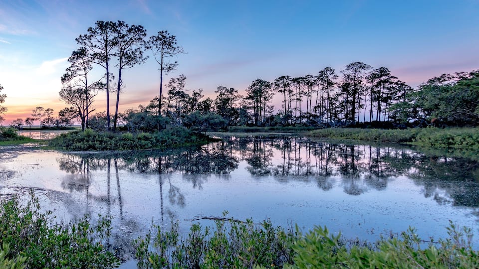 nature landscape scenes around hunting island state park in south carolina
