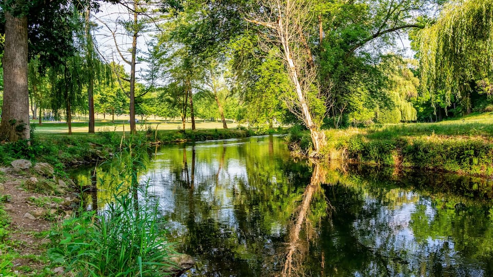 Reflection of Tree in Water at Lehigh Parkway Allentown PA