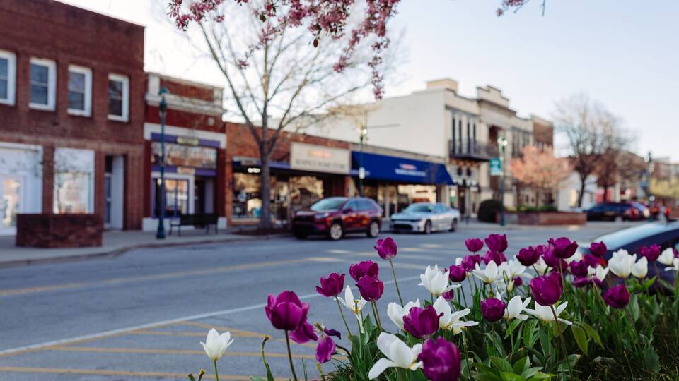 Beautiful streets in old American small town on sunny spring day. Landscaping design with colorful tulips in small city. The day before Easter in Hendersonville, North Carolina, USA - 30 March 2024