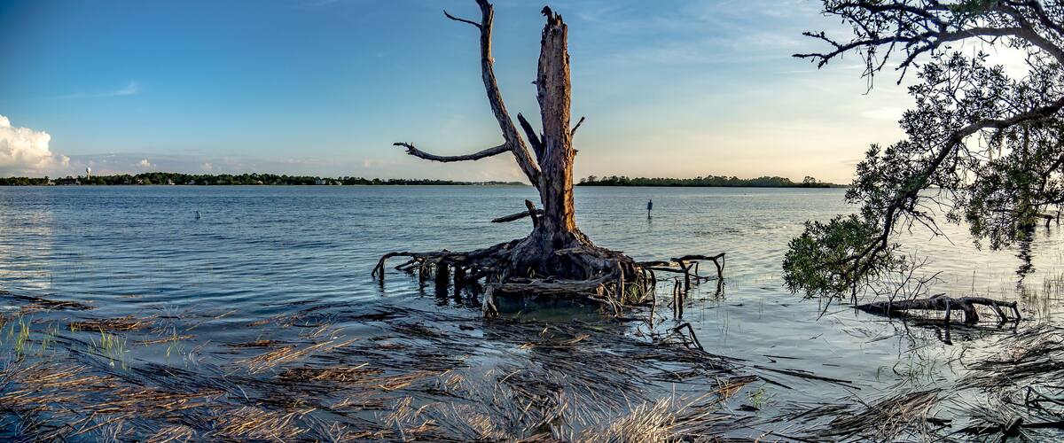 Hunting island south carolina beach scenes