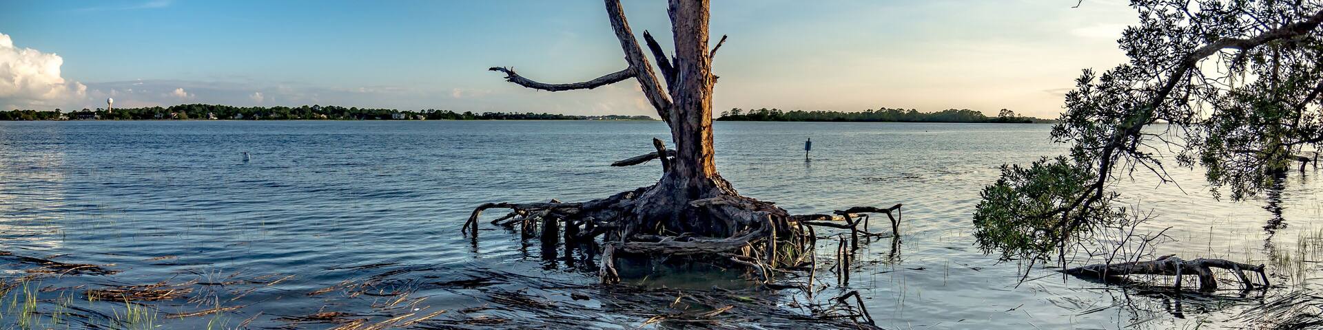 Hunting island south carolina beach scenes