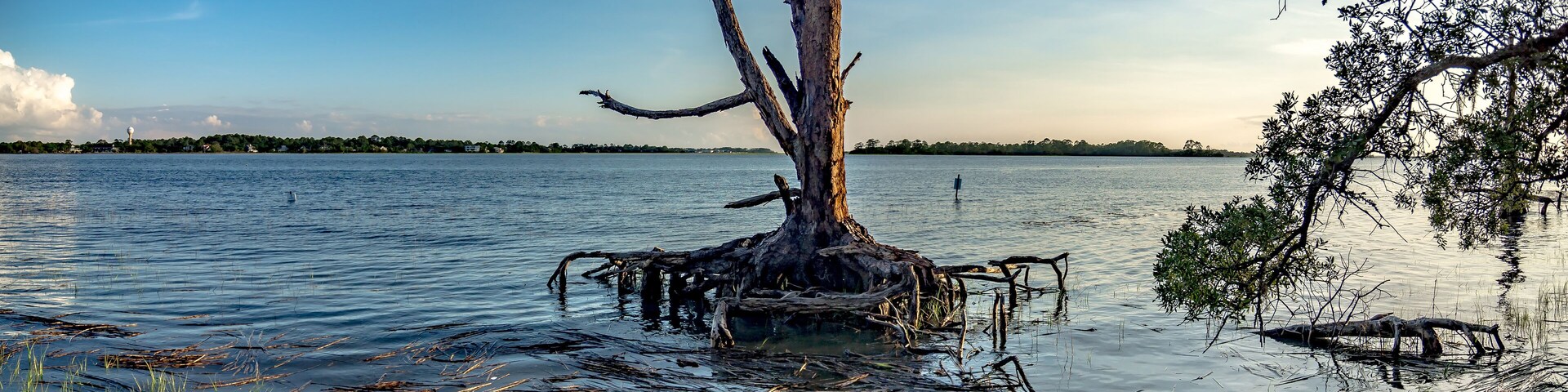 Hunting island south carolina beach scenes