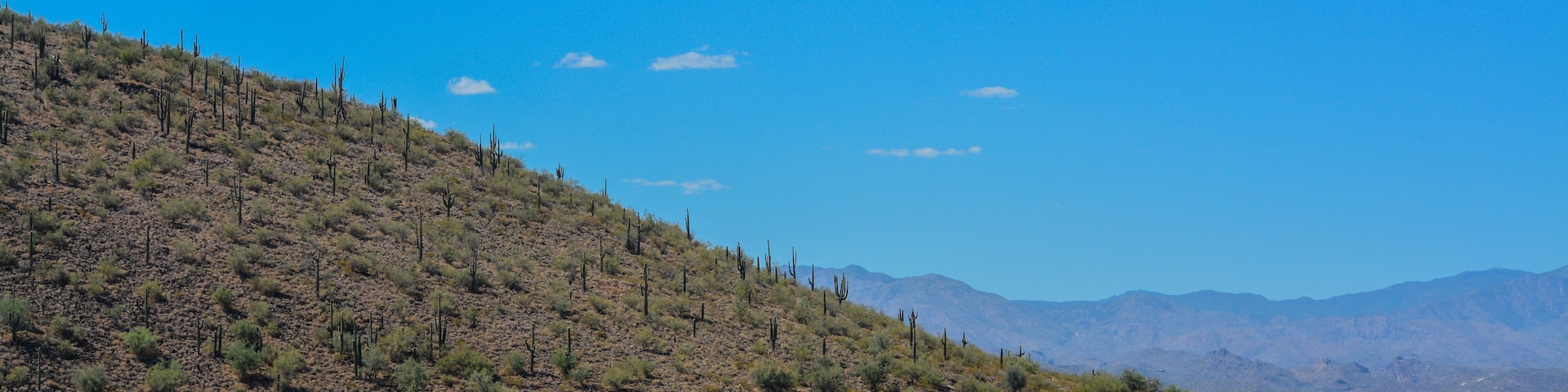 View of Lake Pleasant in Lake Pleasant Regional Park, Sonoran Desert, Arizona USA
