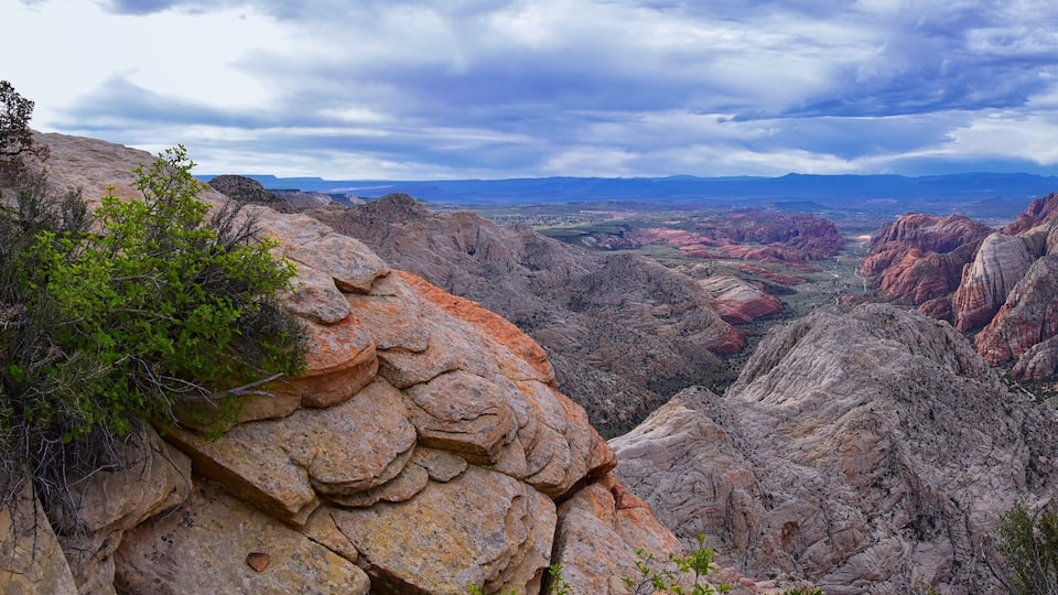 A canyon with layered rock formations and a distant view of a valley under a cloudy sky.