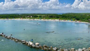 A beach with clear turquoise water, a rocky breakwater, and lush green vegetation in the background.